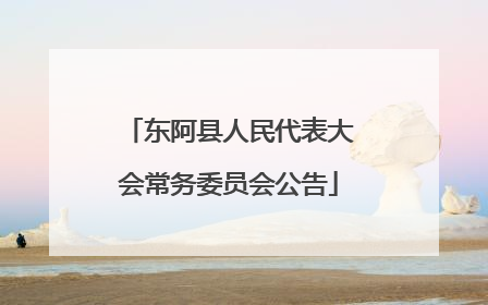 东阿县人民代表大会常务委员会公告