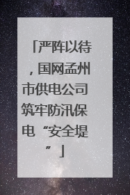 严阵以待，国网孟州市供电公司筑牢防汛保电“安全堤”