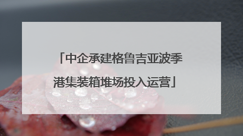 中企承建格鲁吉亚波季港集装箱堆场投入运营