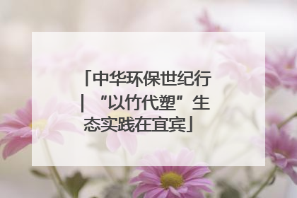 中华环保世纪行｜“以竹代塑”生态实践在宜宾