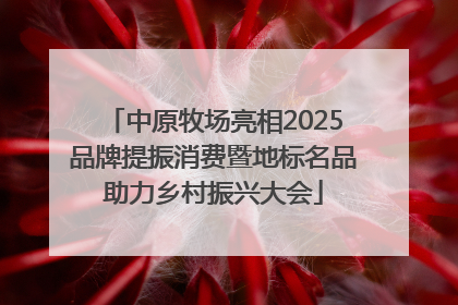 中原牧场亮相2025品牌提振消费暨地标名品助力乡村振兴大会