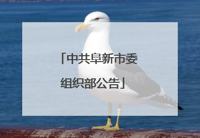 中共阜新市委组织部公告