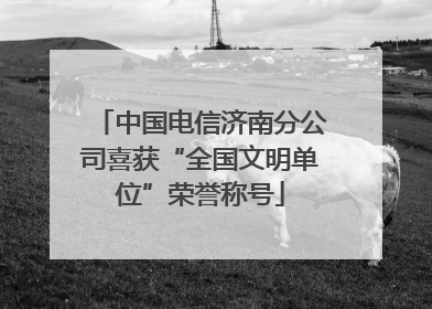 中国电信济南分公司喜获“全国文明单位”荣誉称号