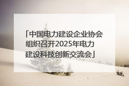 中国电力建设企业协会组织召开2025年电力建设科技创新交流会