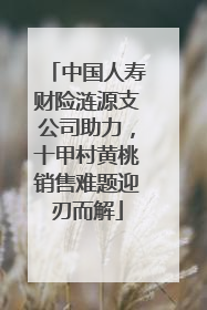 中国人寿财险涟源支公司助力，十甲村黄桃销售难题迎刃而解