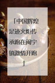 中国辉煌足迹火炬传承跑在闽宁镇激情开跑