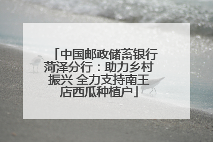 中国邮政储蓄银行菏泽分行：助力乡村振兴 全力支持南王店西瓜种植户