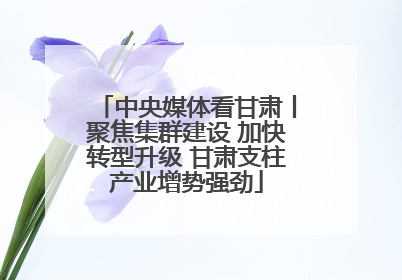 中央媒体看甘肃丨聚焦集群建设 加快转型升级 甘肃支柱产业增势强劲