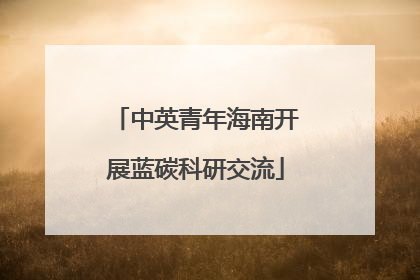 中英青年海南开展蓝碳科研交流