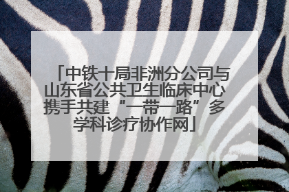 中铁十局非洲分公司与山东省公共卫生临床中心携手共建“一带一路”多学科诊疗协作网