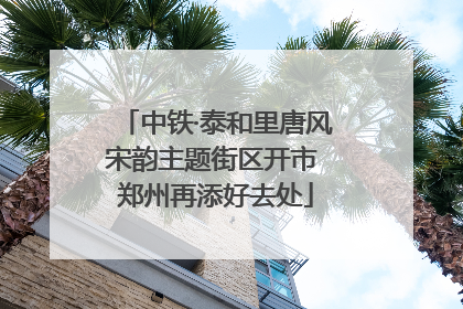 中铁·泰和里唐风宋韵主题街区开市 郑州再添好去处