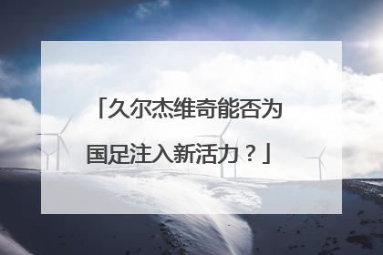 久尔杰维奇能否为国足注入新活力？