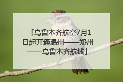 乌鲁木齐航空7月1日起开通温州——郑州——乌鲁木齐航线