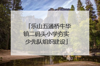 乐山五通桥牛华镇二码头小学夯实少先队组织建设