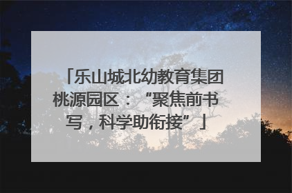 乐山城北幼教育集团桃源园区：“聚焦前书写，科学助衔接”