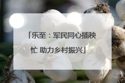 乐至：军民同心插秧忙 助力乡村振兴