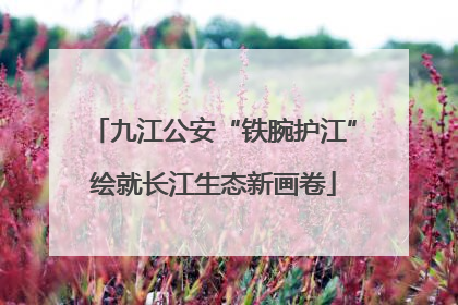 九江公安“铁腕护江”绘就长江生态新画卷