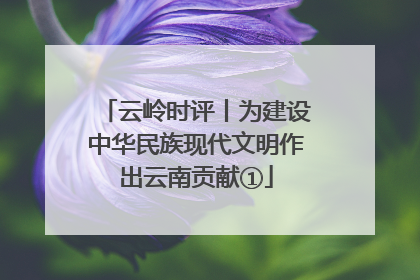 云岭时评丨为建设中华民族现代文明作出云南贡献①
