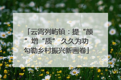 云霄列屿镇：提“颜”增“质” 久久为功勾勒乡村振兴新画卷