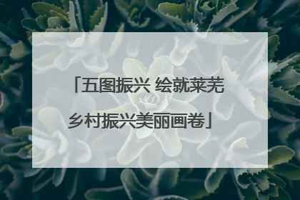 五图振兴 绘就莱芜乡村振兴美丽画卷