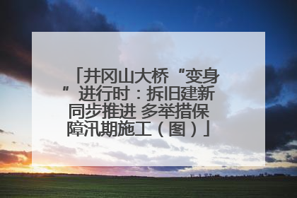 井冈山大桥“变身”进行时：拆旧建新同步推进 多举措保障汛期施工（图）