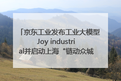 京东工业发布工业大模型Joy industrial并启动上海“链动众城 万亿降本”计划