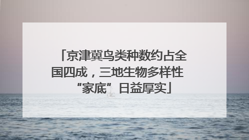 京津冀鸟类种数约占全国四成，三地生物多样性“家底”日益厚实