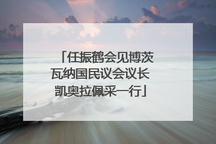 任振鹤会见博茨瓦纳国民议会议长凯奥拉佩采一行