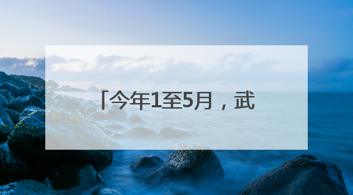 今年1至5月，武汉航空口岸免签入境外国人同比增长160.87%