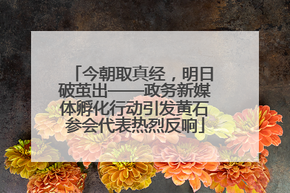 今朝取真经，明日破茧出——政务新媒体孵化行动引发黄石参会代表热烈反响