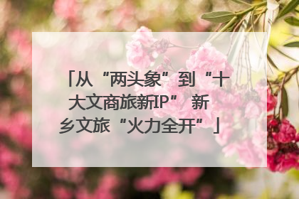 从“两头象”到“十大文商旅新IP” 新乡文旅“火力全开”