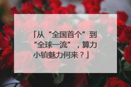 从“全国首个”到“全球一流”，算力小镇魅力何来？