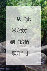 从“无米之炊”到“价值跃升”