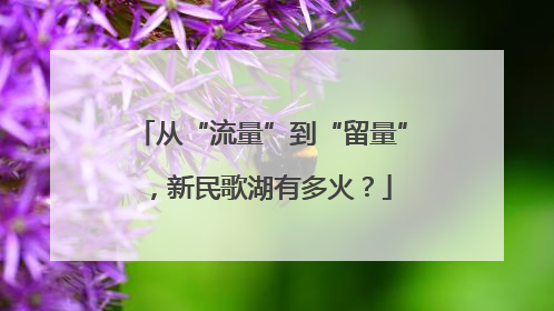 从“流量”到“留量”，新民歌湖有多火？