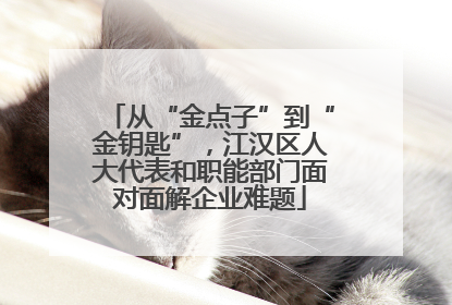 从“金点子”到“金钥匙”，江汉区人大代表和职能部门面对面解企业难题