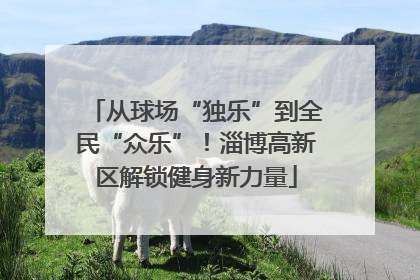 从球场“独乐”到全民“众乐”！淄博高新区解锁健身新力量