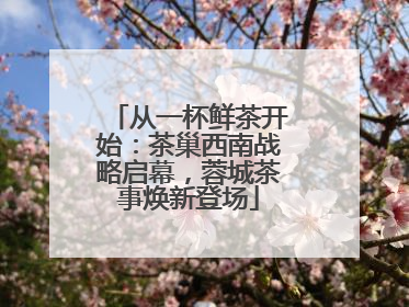 从一杯鲜茶开始：茶巢西南战略启幕，蓉城茶事焕新登场