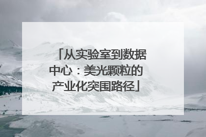 从实验室到数据中心：美光颗粒的产业化突围路径