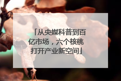 从央媒科普到百亿市场，六个核桃打开产业新空间