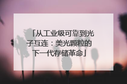 从工业级可靠到光子互连：美光颗粒的下一代存储革命