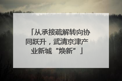 从承接疏解转向协同跃升，武清京津产业新城“焕新”