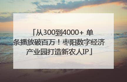 从300到4000+ 单条播放破百万！枣阳数字经济产业园打造新农人IP