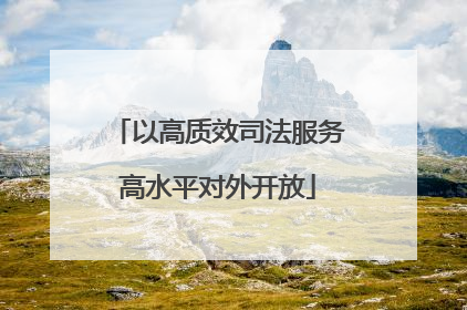 以高质效司法服务高水平对外开放