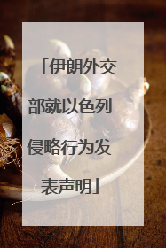 伊朗外交部就以色列侵略行为发表声明
