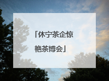 休宁茶企惊艳茶博会