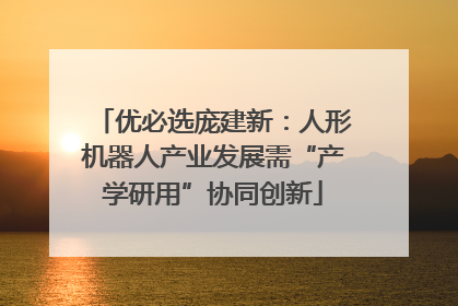 优必选庞建新：人形机器人产业发展需“产学研用”协同创新