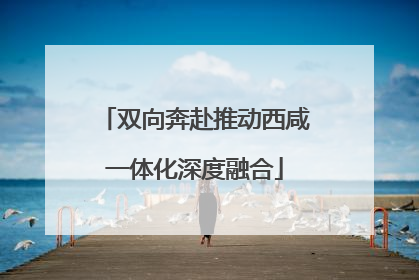 双向奔赴推动西咸一体化深度融合