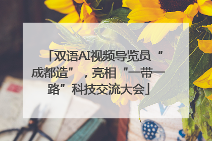 双语AI视频导览员“成都造”，亮相“一带一路”科技交流大会