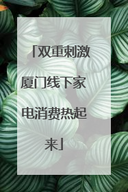 双重刺激厦门线下家电消费热起来
