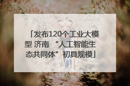 发布120个工业大模型 济南 “人工智能生态共同体”初具规模